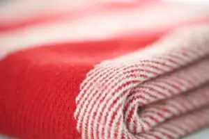 plaid rood gestreept wollen