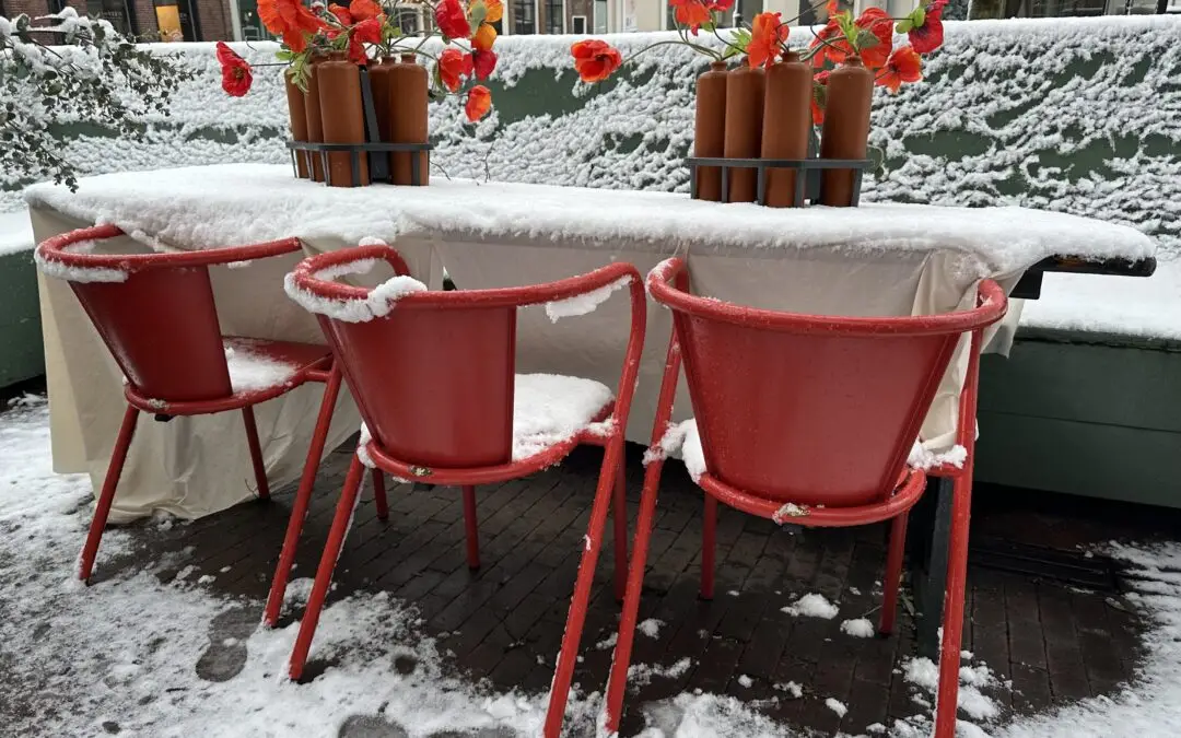 Tips-Trends-Terras